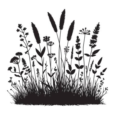 Wild Grass Siluet Vektör Resmi ve Dekoratif Çimen Çizimi