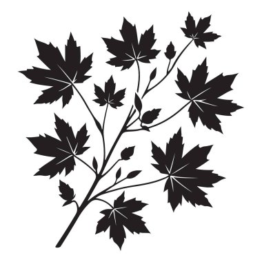 Ayrıntılı Akçaağaç Yaprağı Şubesi Siluet Tasarım Projeleri için Çizim Vektörü ResmiComment