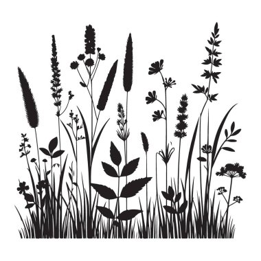 Vahşi Çimenler ve Çiçekler Tasarımlarınız için Siluet Vektör İllüstrasyonu