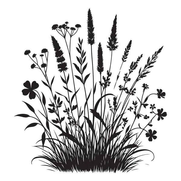 Çeşit çeşit Yaban Çiçeği Silüeti Meadow ve Bahçe Tasarımları