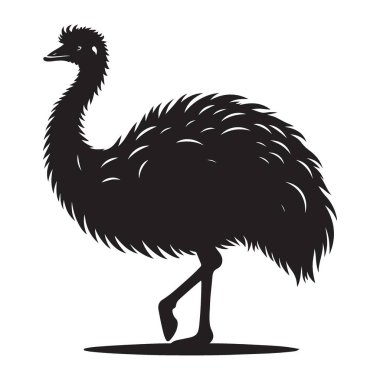 Emu Siluet Vektör İllüstrasyonu Avustralya Vahşi Hayatı Rehberi