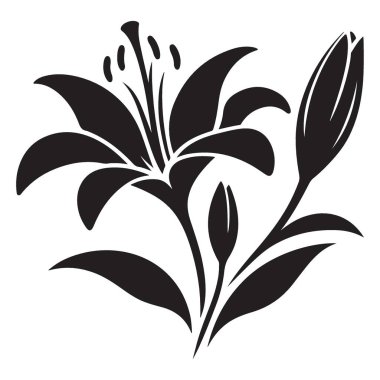 Lily Flower Siluet Vektör İllüstrasyon Çiçek Botanik Sanatı