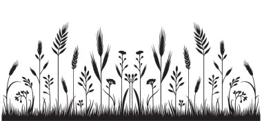 Vahşi Çimenlerin ve Doğadaki Bitkilerin Detaylı Silüeti