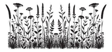 Yaban Çiçeği Çayırı Çizimi Görüntü Silueti Güzel Kırsal Bir Çiçek Sınırı Tasarımı