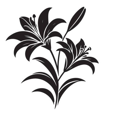 Lily Çiçek Silueti Güzel Çiçek Çiçeği Tasarımı Çizimi