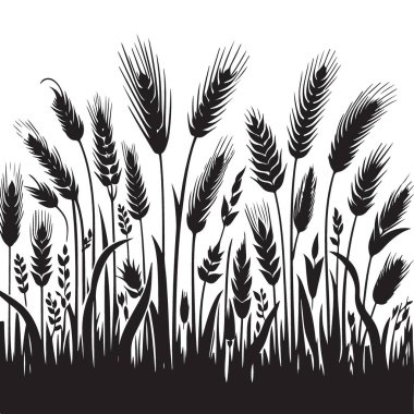 Buğday Sahası Silüet Vektör Tarımsal Tasarımlar Çizimi