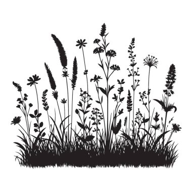 Yaban Çiçeği Çayırı Silueti Görüntü Vektörü Görüntü Hassas Doğa