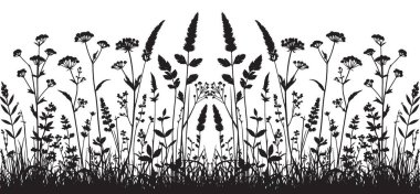 Yaban Çiçeği Tarlası Silueti Vektör Manzara Doğası Çizimi Tasarımı