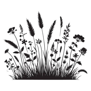 Vahşi Çimenler ve Çiçekler Doğal Tasarımlar İçin Siluet Vektör Sanatı