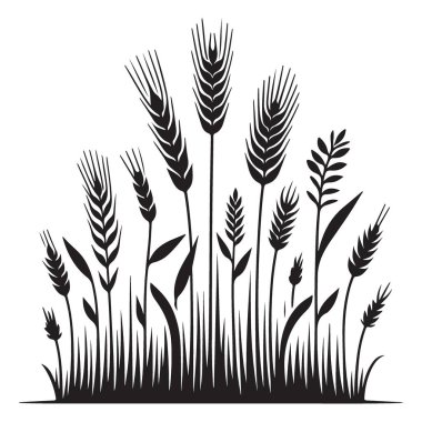 Buğday Takibi Siluet Alan Vektörü Grafik Tasarımı