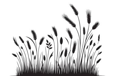 Uzun otlar ve buğday bitkilerinin silueti vektör çizimleri