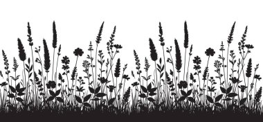 Yaban Çiçeği Silueti Çayır Doğa Tasarımları İçin Taze Çiçek Sahnesi