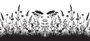 Simetrik kır çiçekleri ve otlar tasarım için botanik bir illüstrasyon