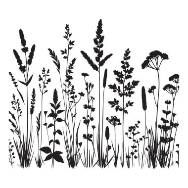 Zarif Vahşi Çimen Silüeti Doğanın İlham Verdiği Tasarımlar