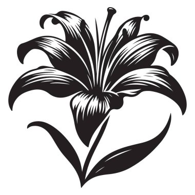 Çiçek Tasarımları İçin Zarif Lily Çiçeği Silüet Vektör Sanatı