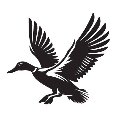 Uçan Ördek Vektör Silueti Çizimi, Uçuş Sanatındaki Kuş