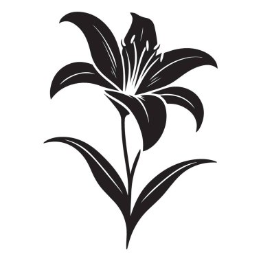 Çiçekli Projeler için Zarif Lily Çiçek Vektörü Görüntü Tasarımı