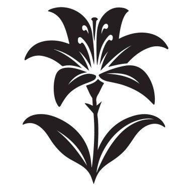 Zarif Zambak Çiçeği Silueti Grafik Vektör Çizimi