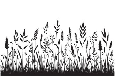 Siluet Çimen Vektör Resimleri Vahşi Çayır Bitkileri ve Doğa Sahnesi