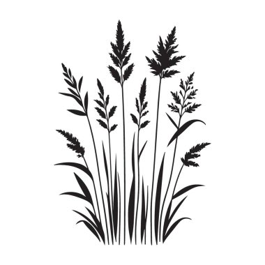 Çimenlerin Siyah Silüeti Doğal Dokunuş Ediyor