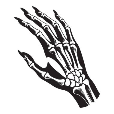 Cadılar Bayramı korku teması için ürkütücü iskelet el vektör çizimi