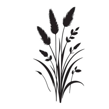 Siluet Çimen Bitkisi Botanik Dekorasyon Doğa Vahşi Çayır Alanı