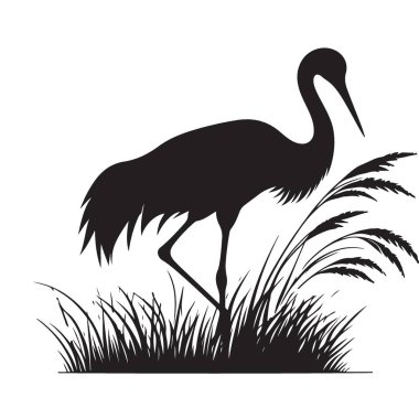 Uzun Çimen Siluetinde Duran Zarif Turna Kuşu