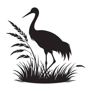 Crane Bird in Grassland Vektör Çizim Tasarımı