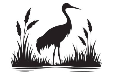 Bataklık bitkilerinde ayakta duran bir turna kuşunun silueti.