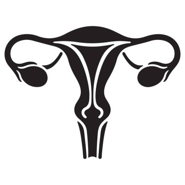 Dişi Üreme Sistemi Silüeti Rahim ve Yumurtalıklar Çizimi