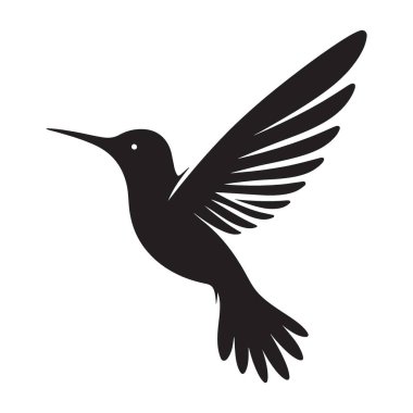 Ayrıntılı Kanatlı Zarif Sinekkuşu Siluet Vektör İllüstrasyonu