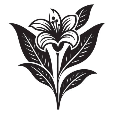 Zarif Siluet Lily Çiçek Çiçeği Tasarım Dekoratif Elementi