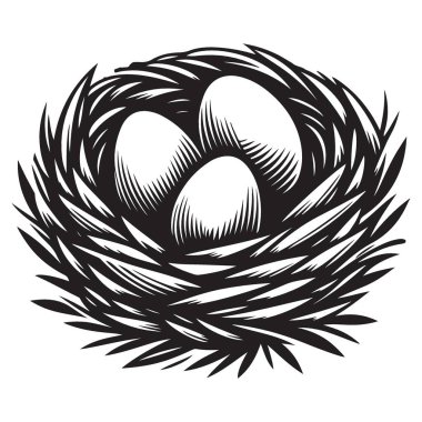 Üç Yumurtalı Kuş Yuvası Sezon Finali Doğa Vektörü İllüstrasyonu