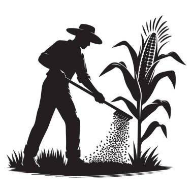 Tarlada mısır tohumu yetiştiren bir çiftçinin silueti.