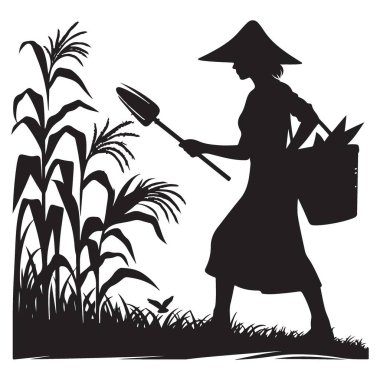 Mısır tarlasına bakan bir kadın çiftçinin silueti