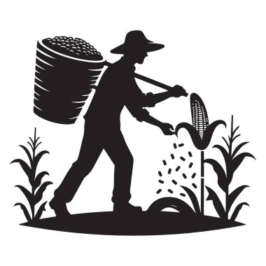 Geleneksel bir şekilde mısır toplayan bir çiftçinin silueti