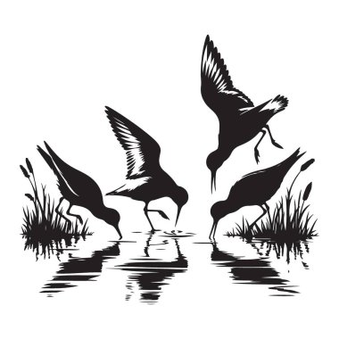Shorebirds Siluet Resimlendirme Vektörü Grafik Kaynağı