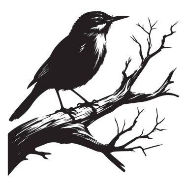 Branch Illustration Design üzerine tünemiş kuşun büyüleyici silueti