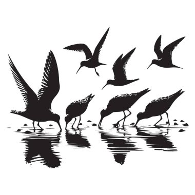 Shorebirds Siluet Grubu Waters Edge Vector Illustration 'da Besleniyor