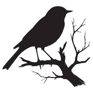Şube Vektörü Resimlerinde Siluet Kuşu Vahşi Yaşam Tasarımı