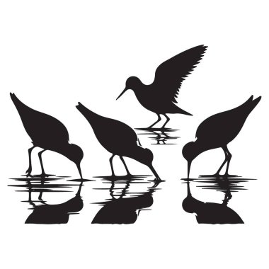 Shorebirds 'ün Silueti Yiyecek Suyu Yansıtmayı Arıyor