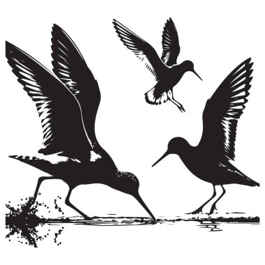 Siyah Siluet Shorebirds Seaside Minimalist Vektör İllüstrasyonu