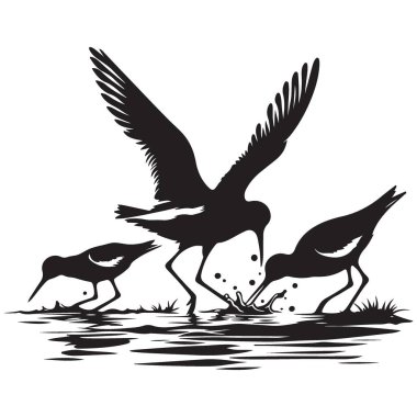 Shorebird 'ler su resimleme sanatında yiyecek arıyorlar.