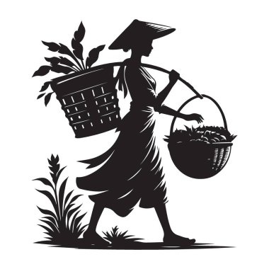 Geleneksel Asyalı Çiftçi Silueti Sepet Taşıyan Ekinleri Topluyor