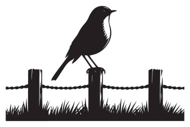 Çitin üzerindeki siluet kuş doğa manzaralı arka plan