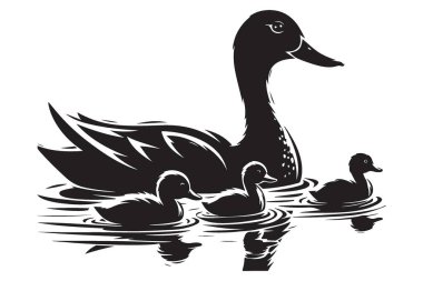 Ördek silueti ve ördek yavrusu yüzme vektör klipsi.