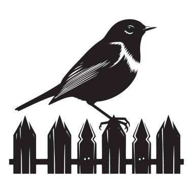 Çitteki Siluet Kuş Bahçe Resimlerinde Tünedi Tasarım
