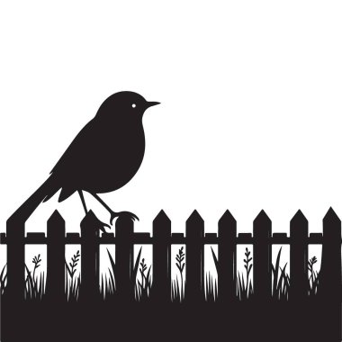 Çit Tasarımı Üzerine Siluet Kuşu Park Resimlerine Tüymüş