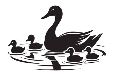 Siluet ördek ailesinin su yüzme yansıması.