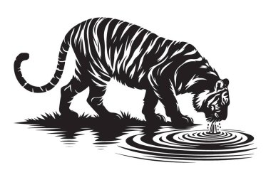 Kaplan İçen Su Çizimi Vektör Grafik Tasarımı